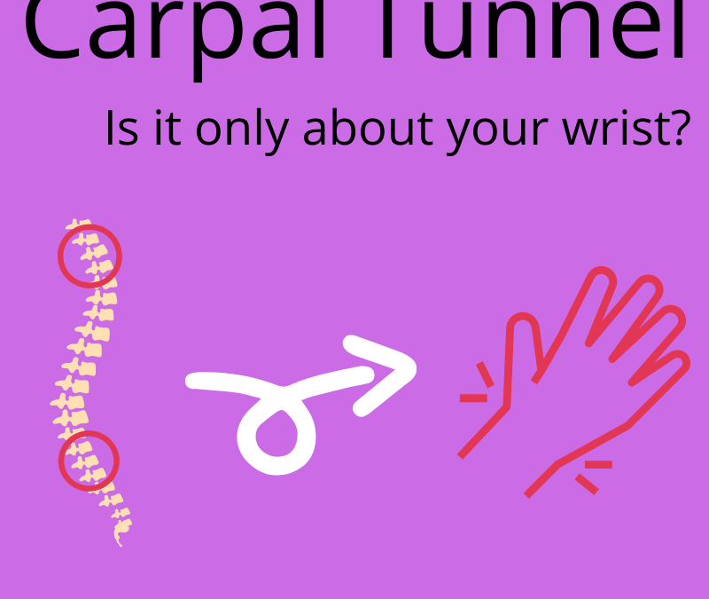 Carpal Tunnel – Ever wonder what its about?